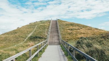 a wooden staircase leading up a hill