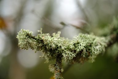 Blekinge archipelago